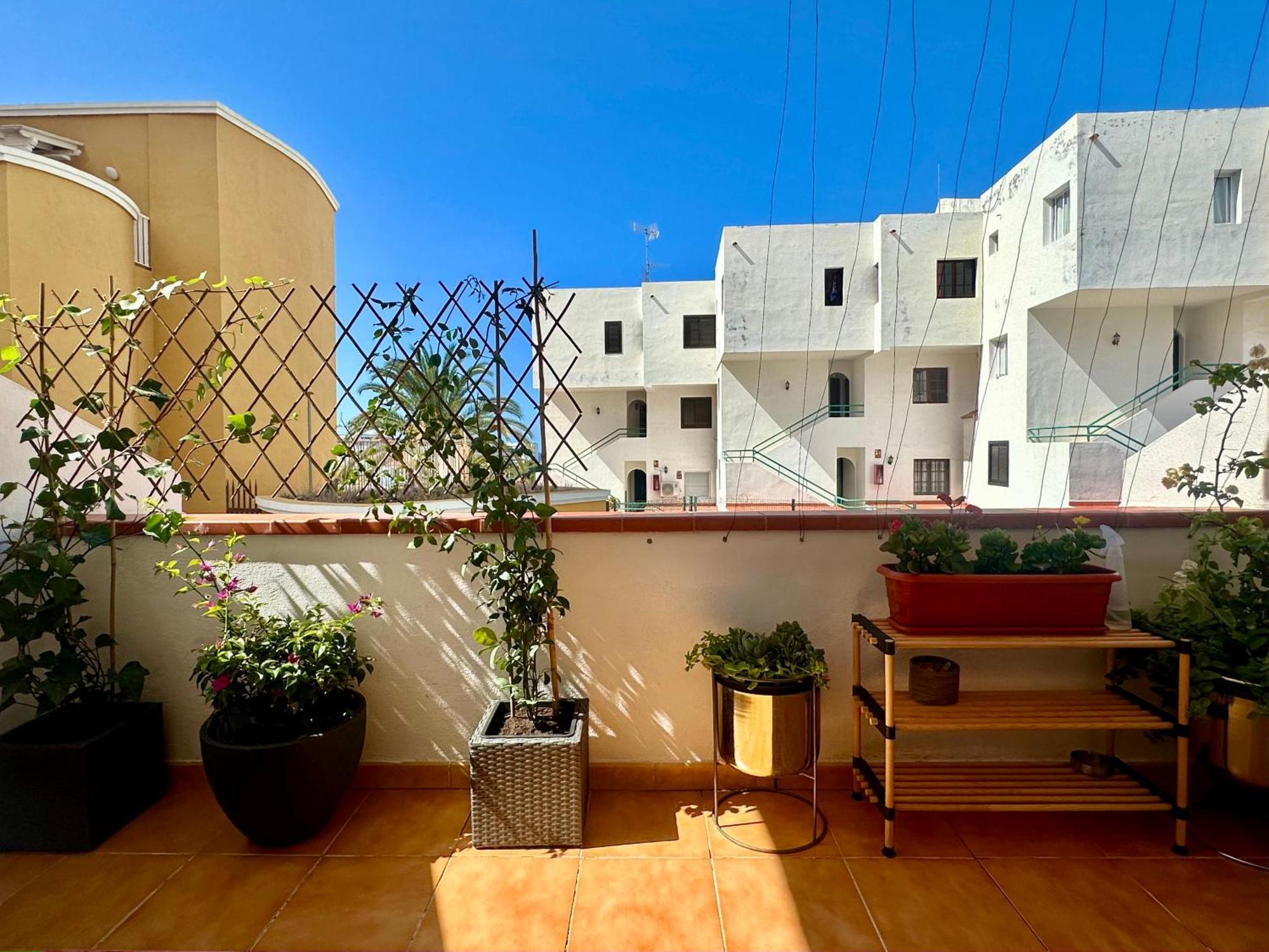 Apartment In Ocean Park Ii, Costa Adeje, Tenerife Exterior foto